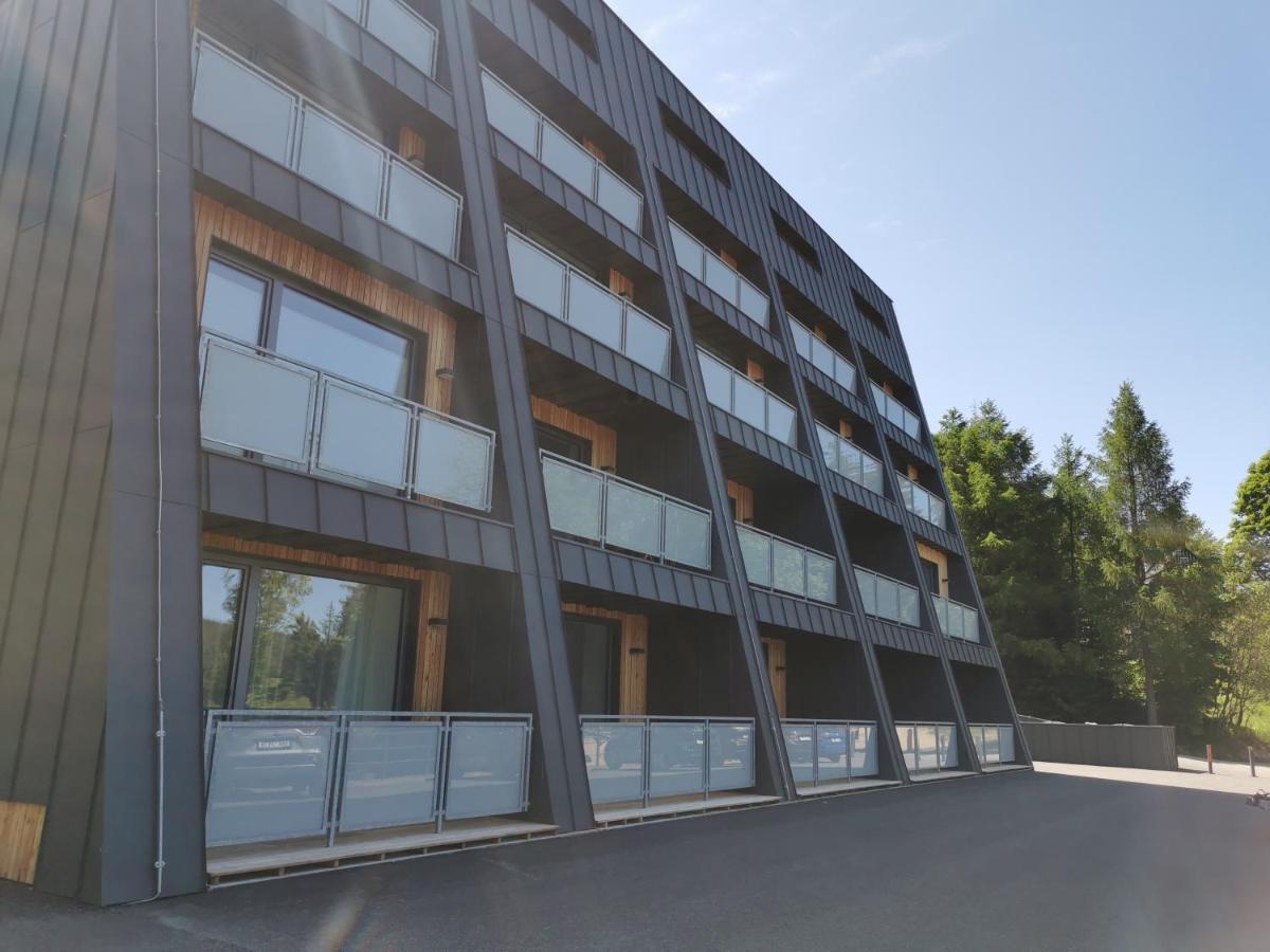 Apartman V Jizerkach Janov nad Nisou Dış mekan fotoğraf
