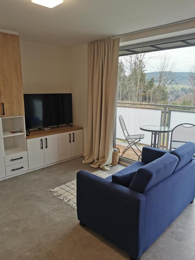 Apartman V Jizerkach Janov nad Nisou Dış mekan fotoğraf